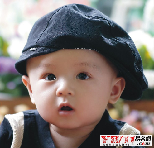 龍寶寶取名步驟