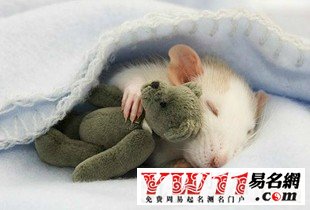 最搞笑的網(wǎng)絡游戲名字，笑死人的游戲玩家角色名字大全 www.keaidian.com