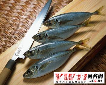 夢(mèng)見(jiàn)魚(yú)