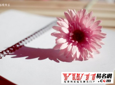 屬蛇人的2016年運(yùn)勢(shì)，屬蛇人運(yùn)勢(shì)怎么樣