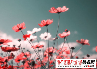 屬蛇人的2016年運(yùn)勢(shì)，屬蛇人運(yùn)勢(shì)怎么樣