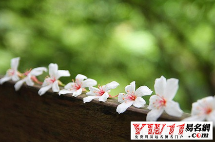 關(guān)于親情感動的句子