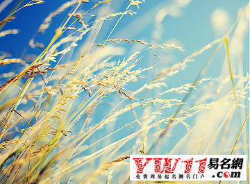 微信朋友圈個性說說