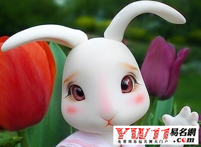 2017屬兔人的運(yùn)勢(shì)如何