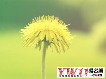 扣扣分組設(shè)計