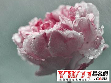 夢(mèng)見(jiàn)下雨是什么征兆？