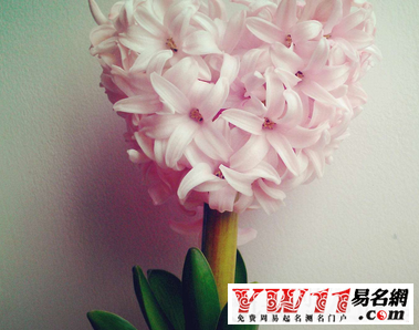 好聽的兩個(gè)字微信名字