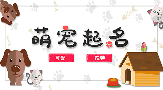 可愛(ài)獨(dú)特的寵物名