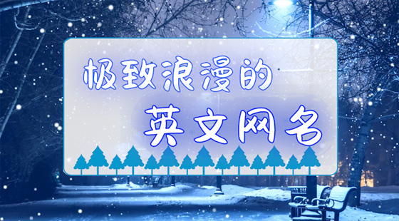 極致浪漫的英文網(wǎng)名