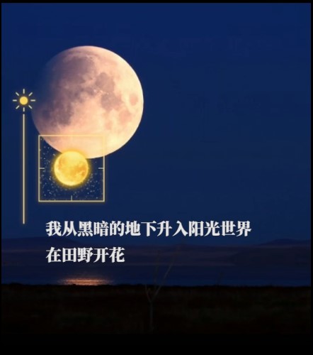 好聽(tīng)的微信名網(wǎng)名簽名朋友圈文案