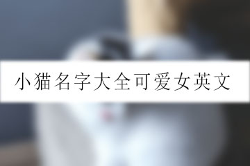 小貓名字大全可愛(ài)女英文