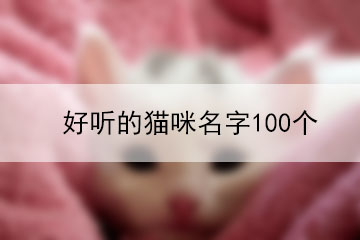 好聽(tīng)的貓咪名字100個(gè)