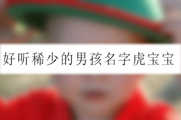 好聽(tīng)稀少的男孩名字虎寶寶
